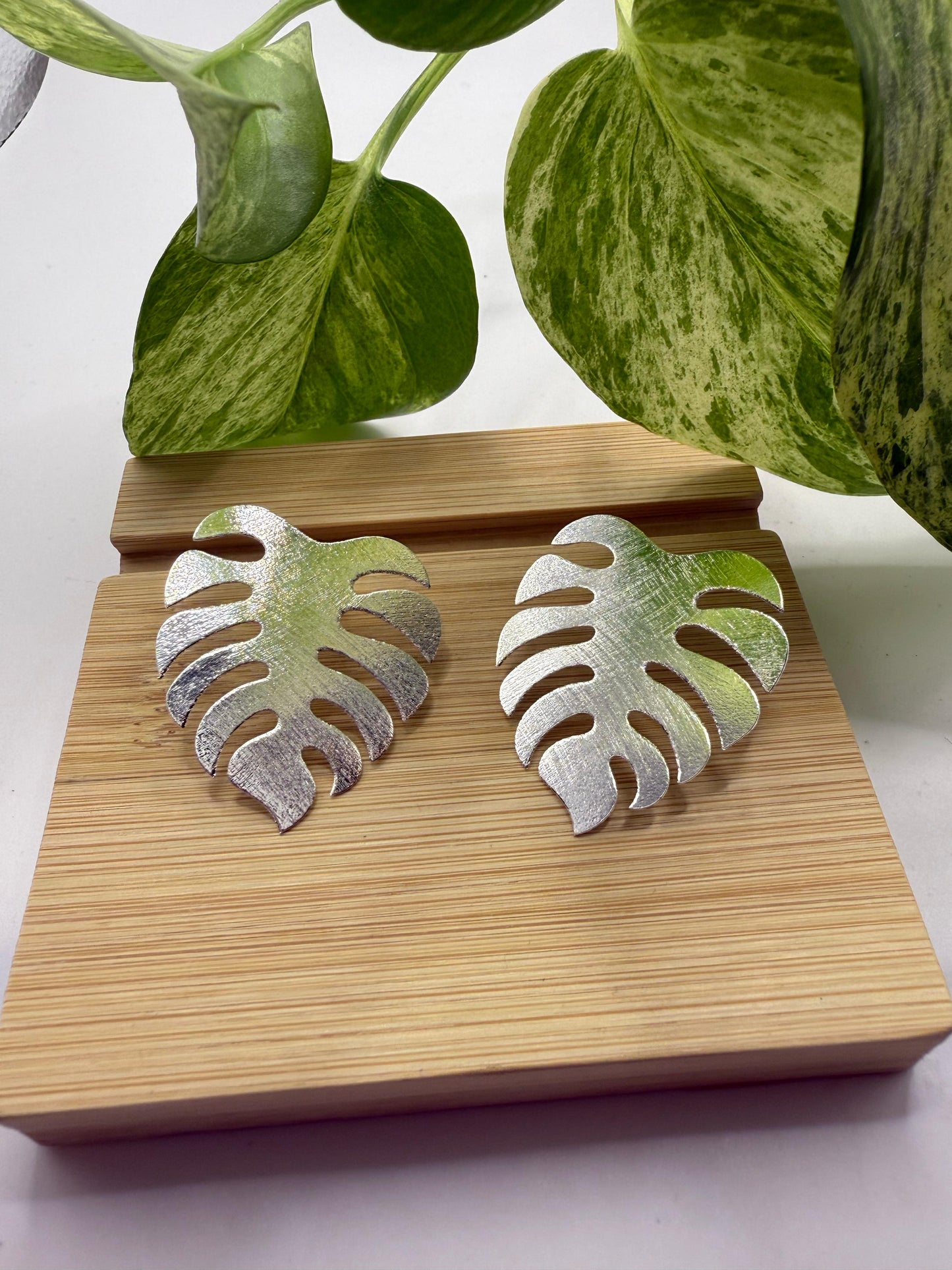 Aros monstera grandes plateados